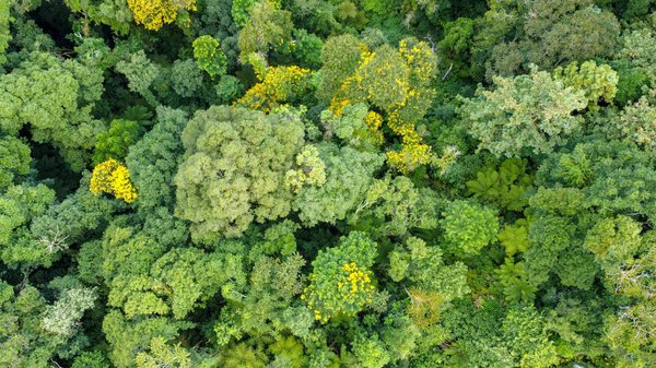 Étude des éléments fantastiques dans les œuvres de Tim Burton